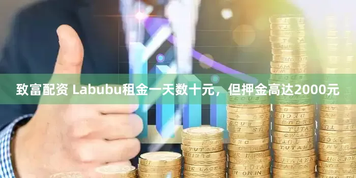 致富配资 Labubu租金一天数十元，但押金高达2000元
